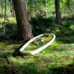 Loop ForestCama
