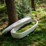 Loop Living Cocoon